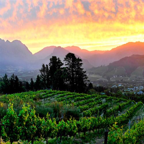 listing-details-carousel