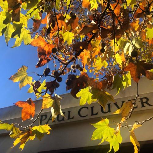 listing-details-carousel