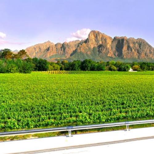 listing-details-carousel