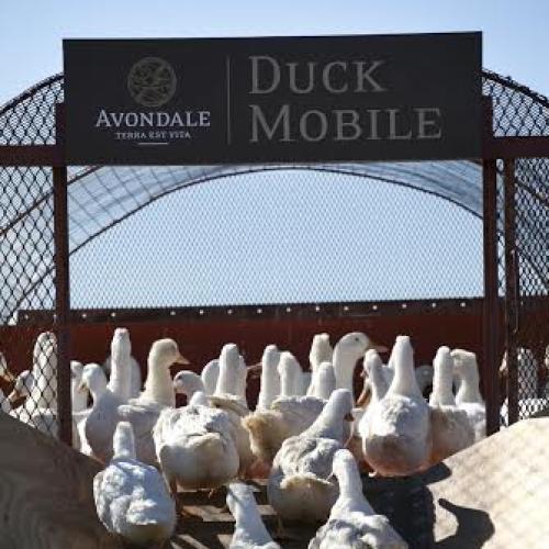 listing-details-carousel