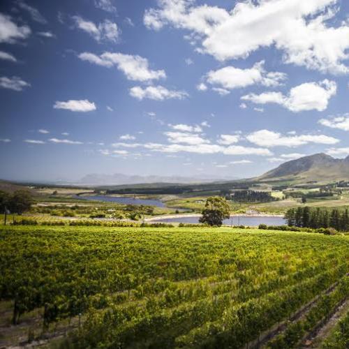 listing-details-carousel