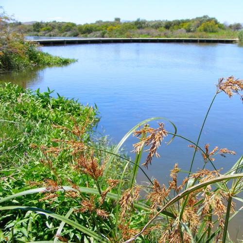 listing-details-carousel