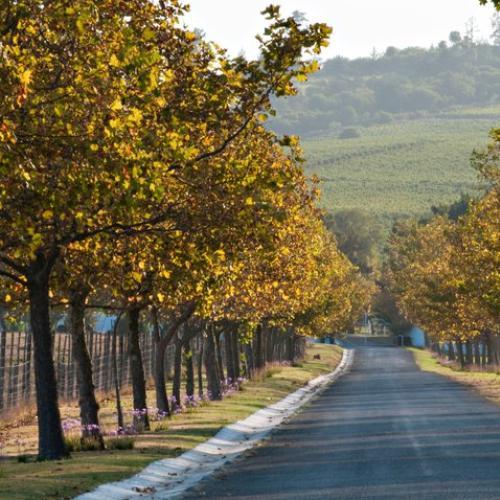 listing-details-carousel