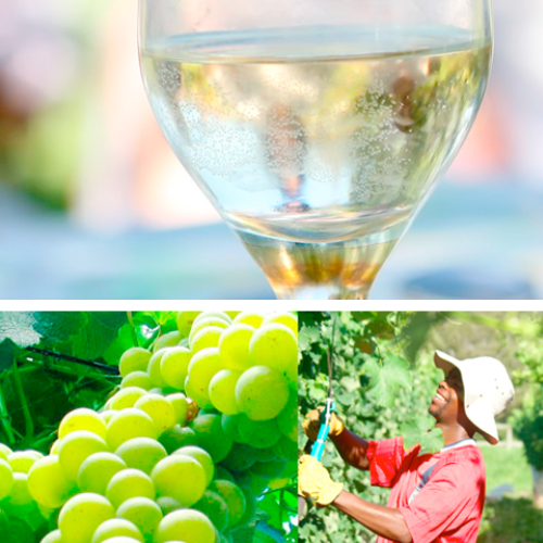 listing-details-carousel