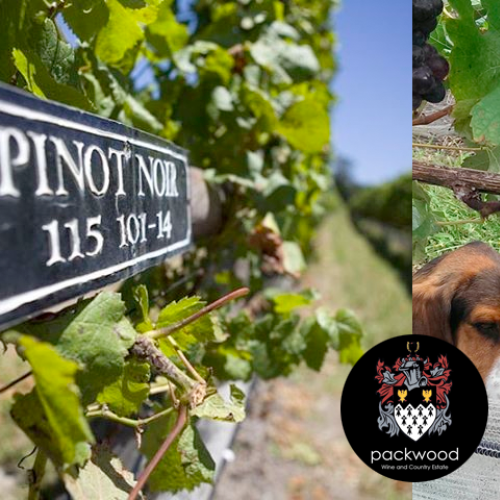 listing-details-carousel