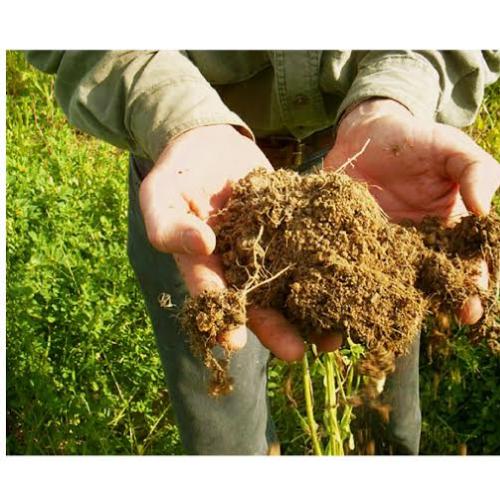 listing-details-carousel