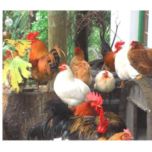 listing-details-carousel