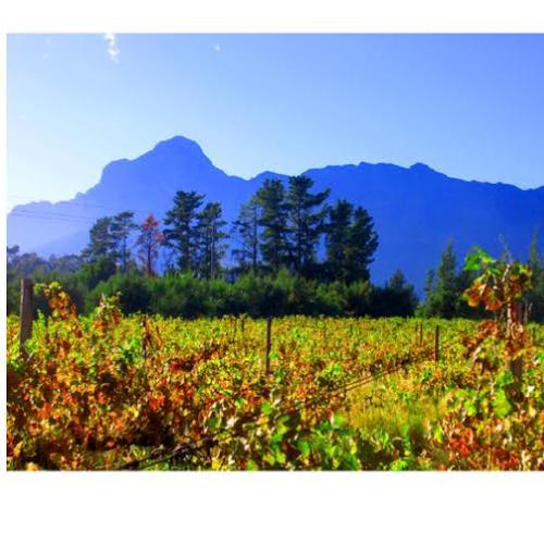 listing-details-carousel