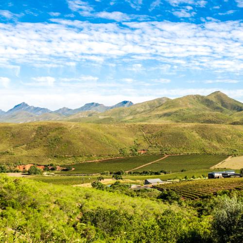 listing-details-carousel