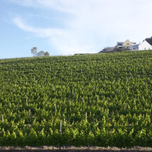 listing-details-carousel