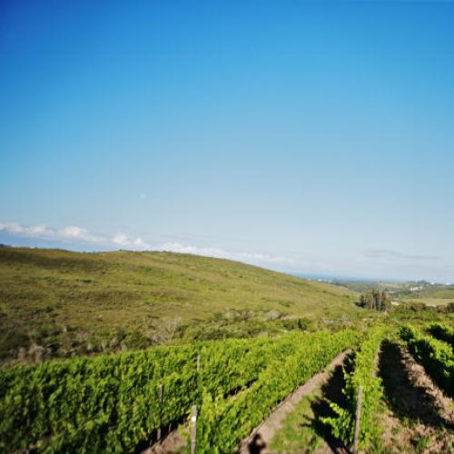 listing-details-carousel