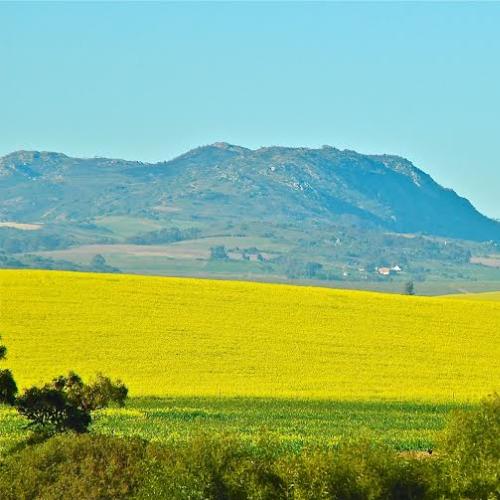 listing-details-carousel