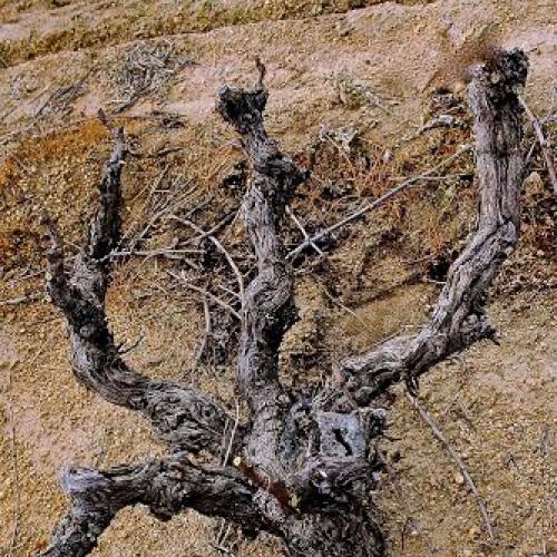 listing-details-carousel