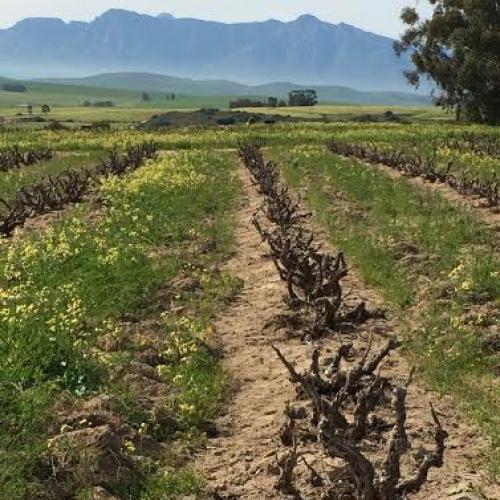 listing-details-carousel