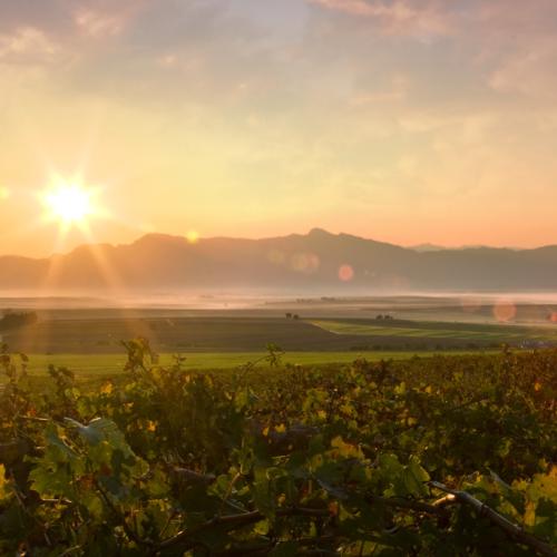 listing-details-carousel