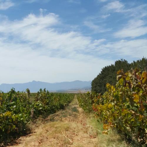 listing-details-carousel