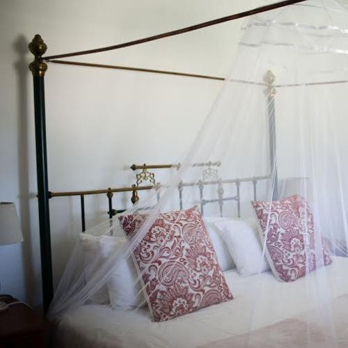 Montpellier De Tulbagh Image