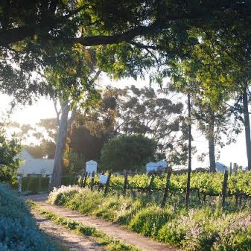 listing-details-carousel