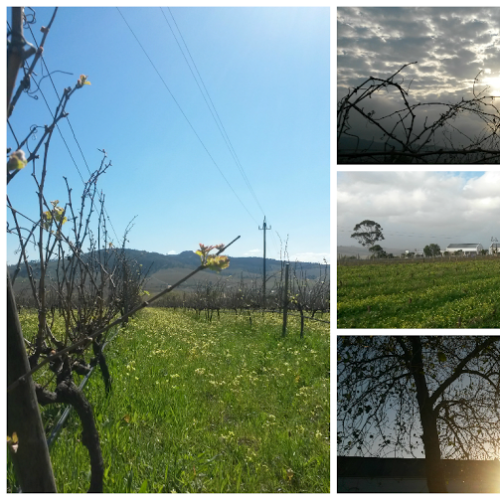 listing-details-carousel