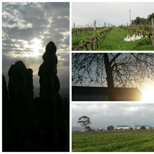 listing-details-carousel