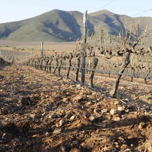 listing-details-carousel