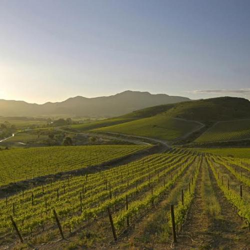 listing-details-carousel