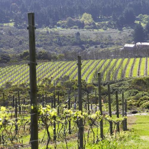 listing-details-carousel