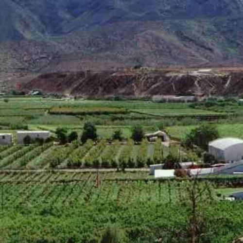 listing-details-carousel