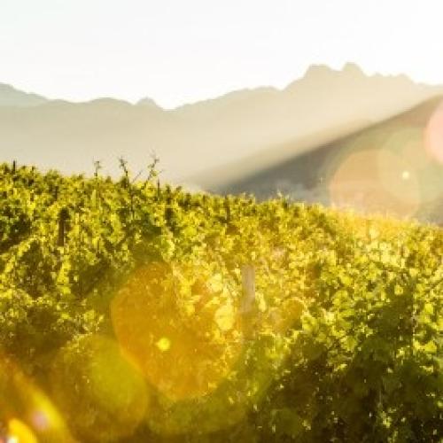 listing-details-carousel