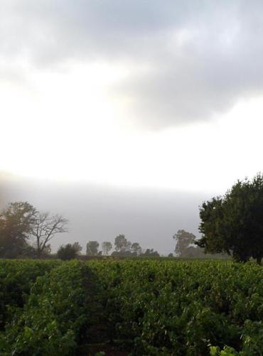 assets/images/tours/tour-4-1.jpg