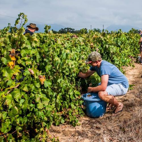 listing-details-carousel