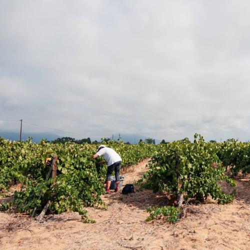 listing-details-carousel