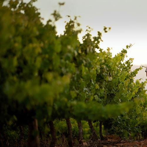 listing-details-carousel