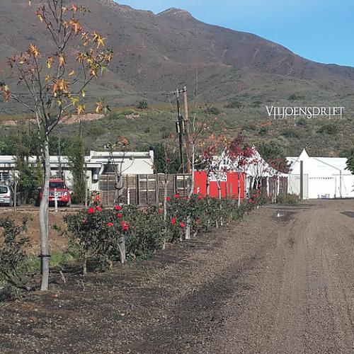 listing-details-carousel