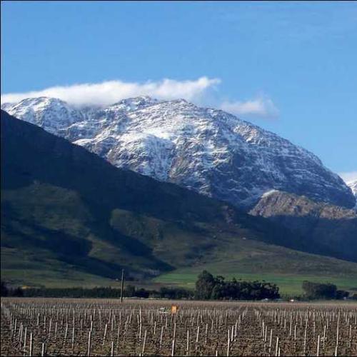 listing-details-carousel