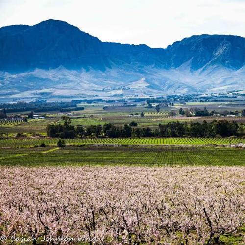 listing-details-carousel