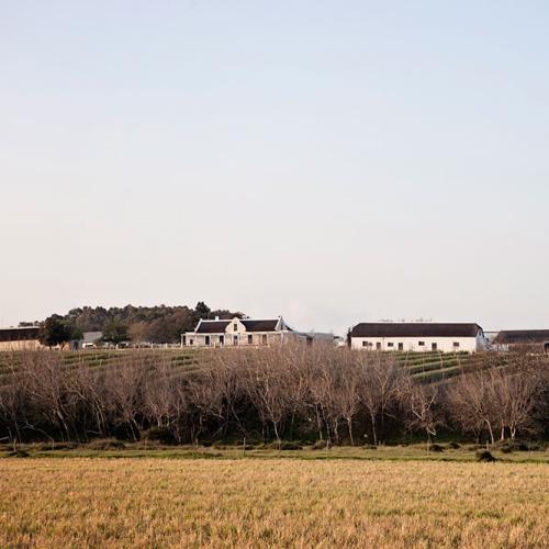 listing-details-carousel