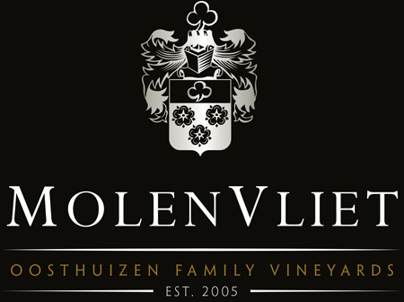 MolenVliet Logo