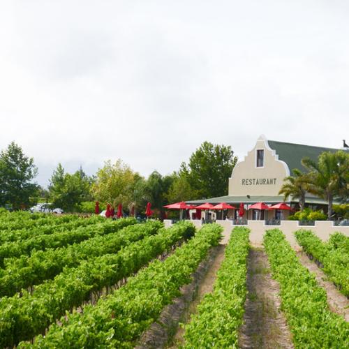 https://www.wineries.co.za/static/2858/w_1215_restaurant_home2__scale_and_crop__500x500.jpg