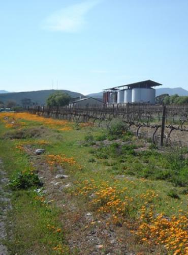 assets/images/tours/tour-4-1.jpg