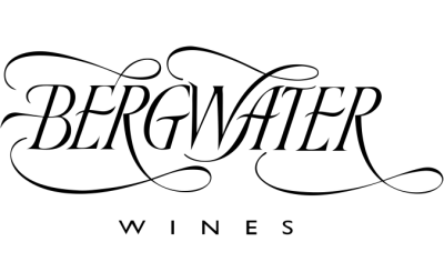 Bergwater Logo
