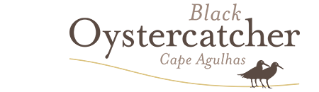 Black Oystercatcher Logo