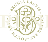 Brunia Logo
