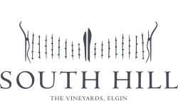 South Hill Vineyards Logo