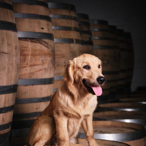 listing-details-carousel