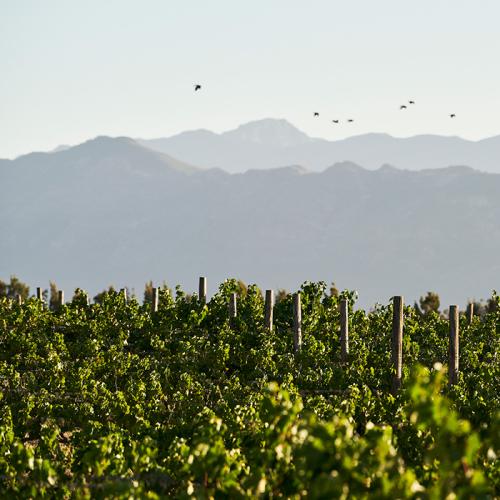 listing-details-carousel