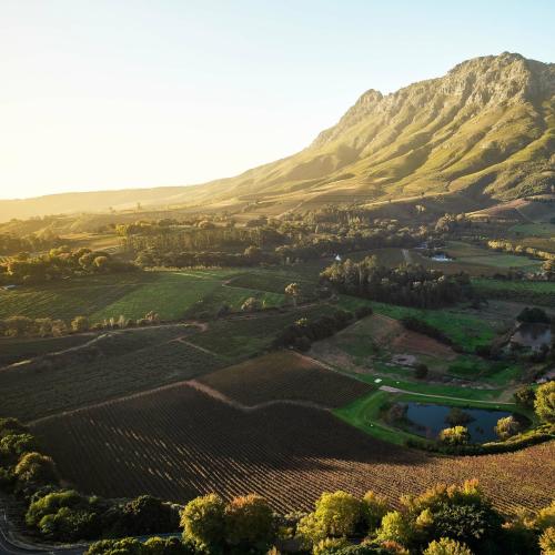 https://www.wineries.co.za/static/3301/allu__scale_and_crop__500x500.jpg
