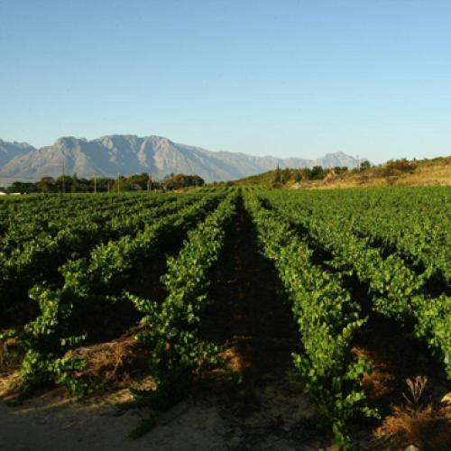 https://www.wineries.co.za/static/3329/avon__scale_and_crop__500x500.jpg