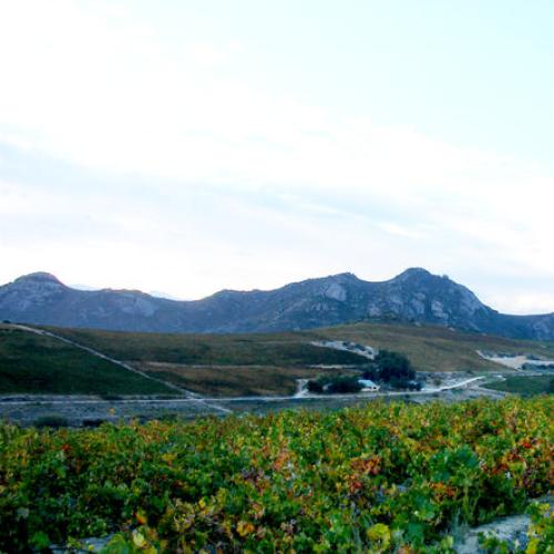 https://www.wineries.co.za/static/3331/baby2__scale_and_crop__500x500.jpg