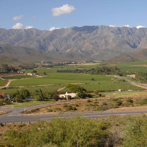 https://www.wineries.co.za/static/3465/capedreamswine-bg4-e1550677836813__scale_and_crop__500x500.jpg